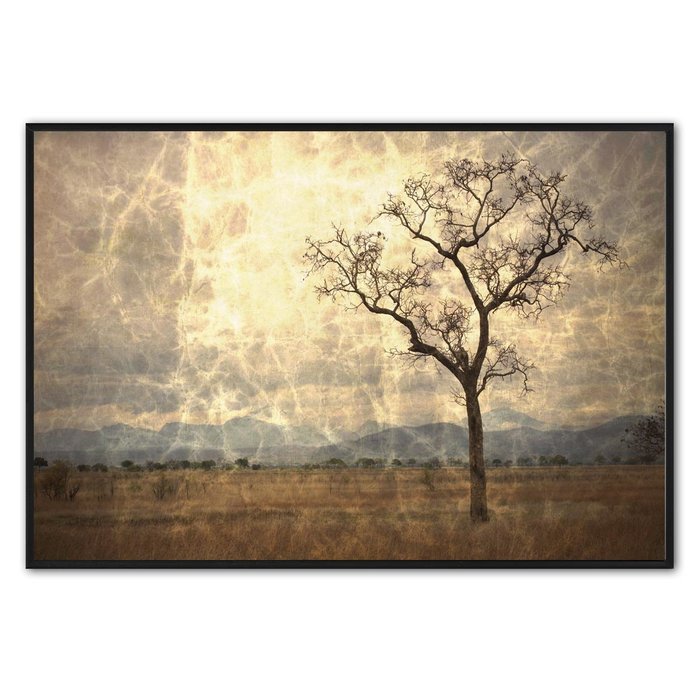 The Only | Fotokunst op dibond