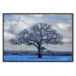 The blue grass | Fotokunst op dibond