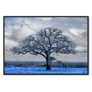 Fotokunst | The blue grass