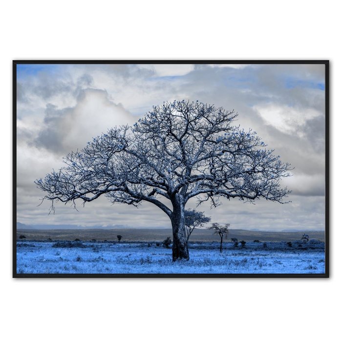 The blue grass | Fotokunst op dibond