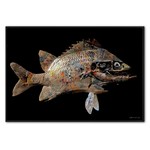 Crazy Fish | Fotokunst op dibond