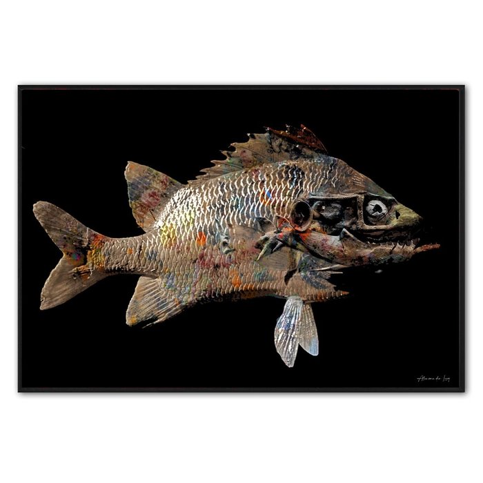 Crazy Fish | Fotokunst op dibond