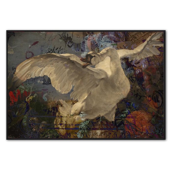 Swan | Fotokunst op dibond