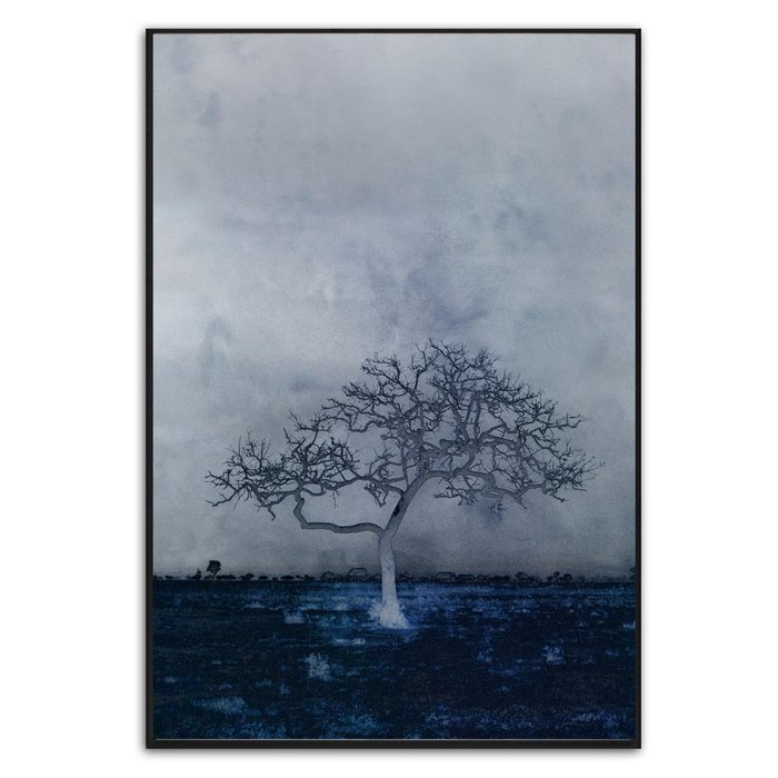 The Land | Fotokunst op dibond