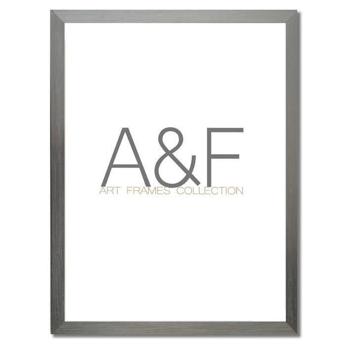 Lijst Savona | Zilverkleur