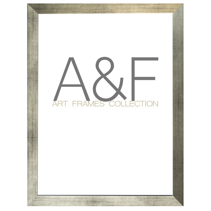 Lijst Lyon | Zilverkleurige wissellijst