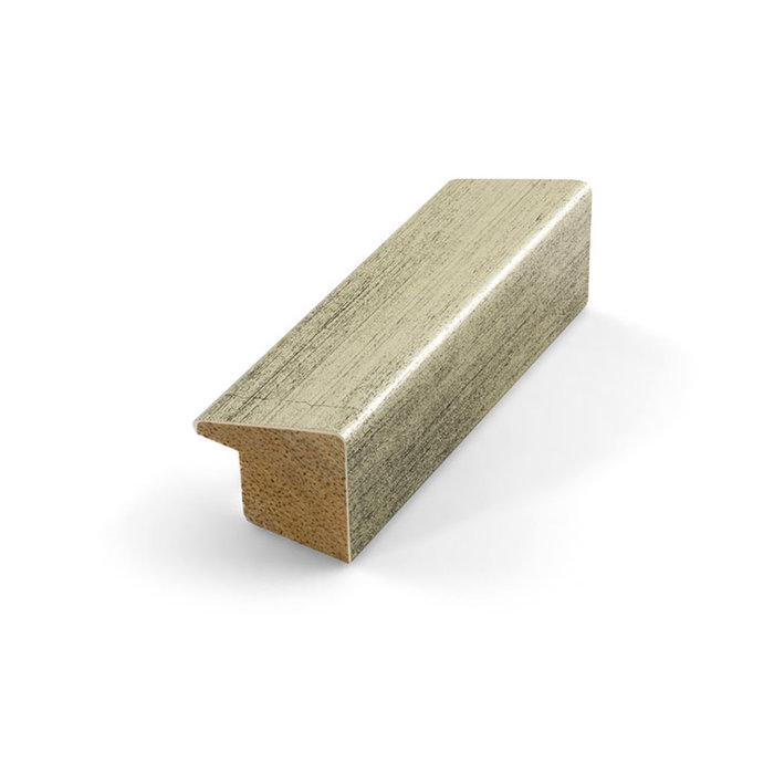 Lijst Lyon | Zilverkleurige wissellijst