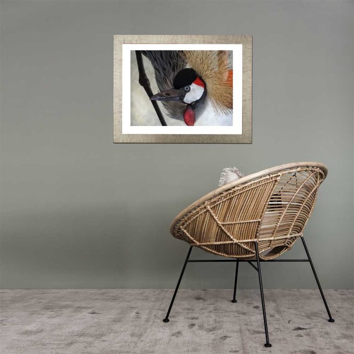 Lijst Genova ZilverRood  | Modern