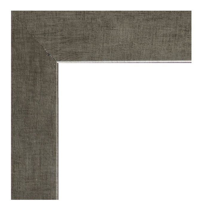 Lijst Cuneo | Moderne zilverkleurkleurige lijst