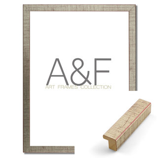 Lijst Asti | Zilverkleur & Basic