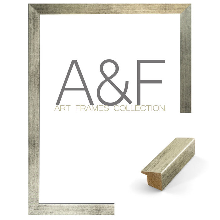 Lijst Lyon | Zilverkleurige wissellijst