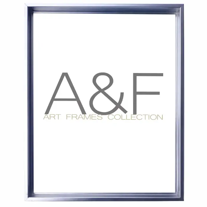 Baklijst Luzern | MDF & Zilver | Alleen geschikt voor schilderijen