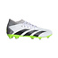 Adidas Predator Accuracy .3 FG Voetbalschoenen Wit Grijs