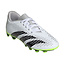 Adidas Predator Accuracy .4 FxG KIDS Voetbalschoenen Wit Grijs