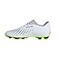 Adidas Predator Accuracy .4 FxG KIDS Voetbalschoenen Wit Grijs