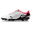 Nike Legend 10 Academy FG/MG Voetbalschoenen Wit/Rood