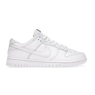 Nike Dunk Low Retro Sneakers Wit