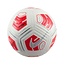 Nike Nike Strike Team Voetbal 290 Gram