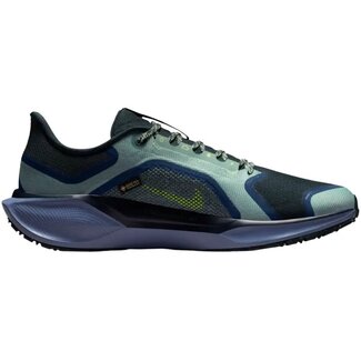 Nike Nike Air Zoom Pegasus 41 GTX Hardloopschoenen