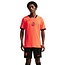 Nike Nederlands Elftal Thuisshorts 2026-2028