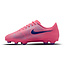 Nike Mercurial Vapor 16 Club Vini Jr.  Voetbalschoenen FG/MG Kids