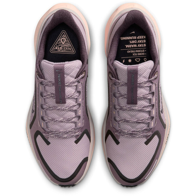 Nike Pegasus 41 GTX  Hardloopschoenen Dames