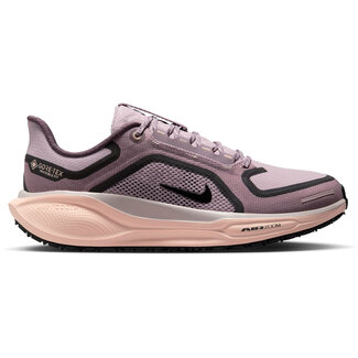 Nike Nike Pegasus 41 GTX  Hardloopschoenen Dames