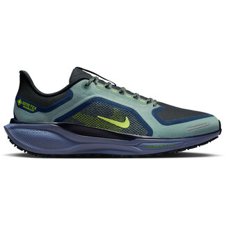 Nike Nike Pegasus 41 GTX Hardloopschoenen Heren