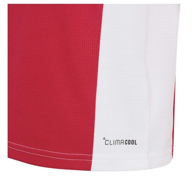 Adidas Ajax Thuis Minikit 26/27