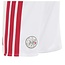 Adidas Ajax Thuis Minikit 26/27
