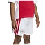 Adidas Ajax Thuis Minikit 26/27