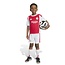 Adidas Ajax Thuis Minikit 26/27