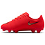 Nike Mercurial Zoom Vapor 17 Club FG/MG Kids