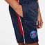 Nike Paris Saint-Germain Academy Pro Short Kids