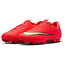 Nike Mercurial Zoom Vapor 17 Academy AG