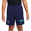 Nike Nike FC Barcelona Strike Shorts 26/27 Kids