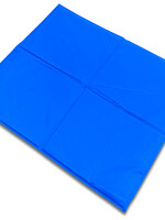 Papillon Koelmat
