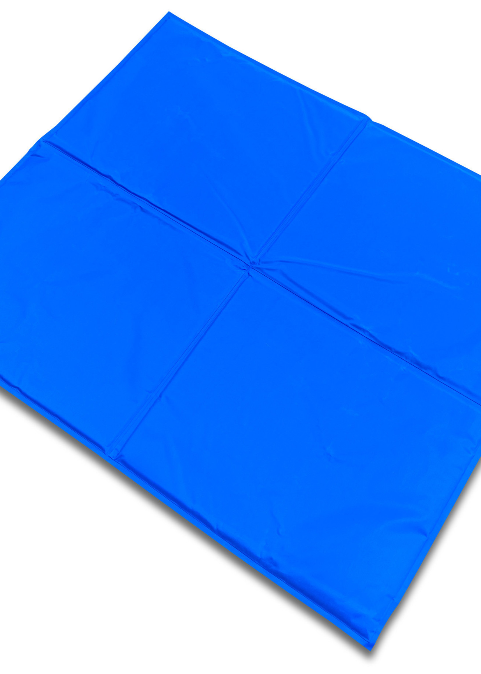 Papillon Koelmat
