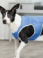 Papillon Koelvest