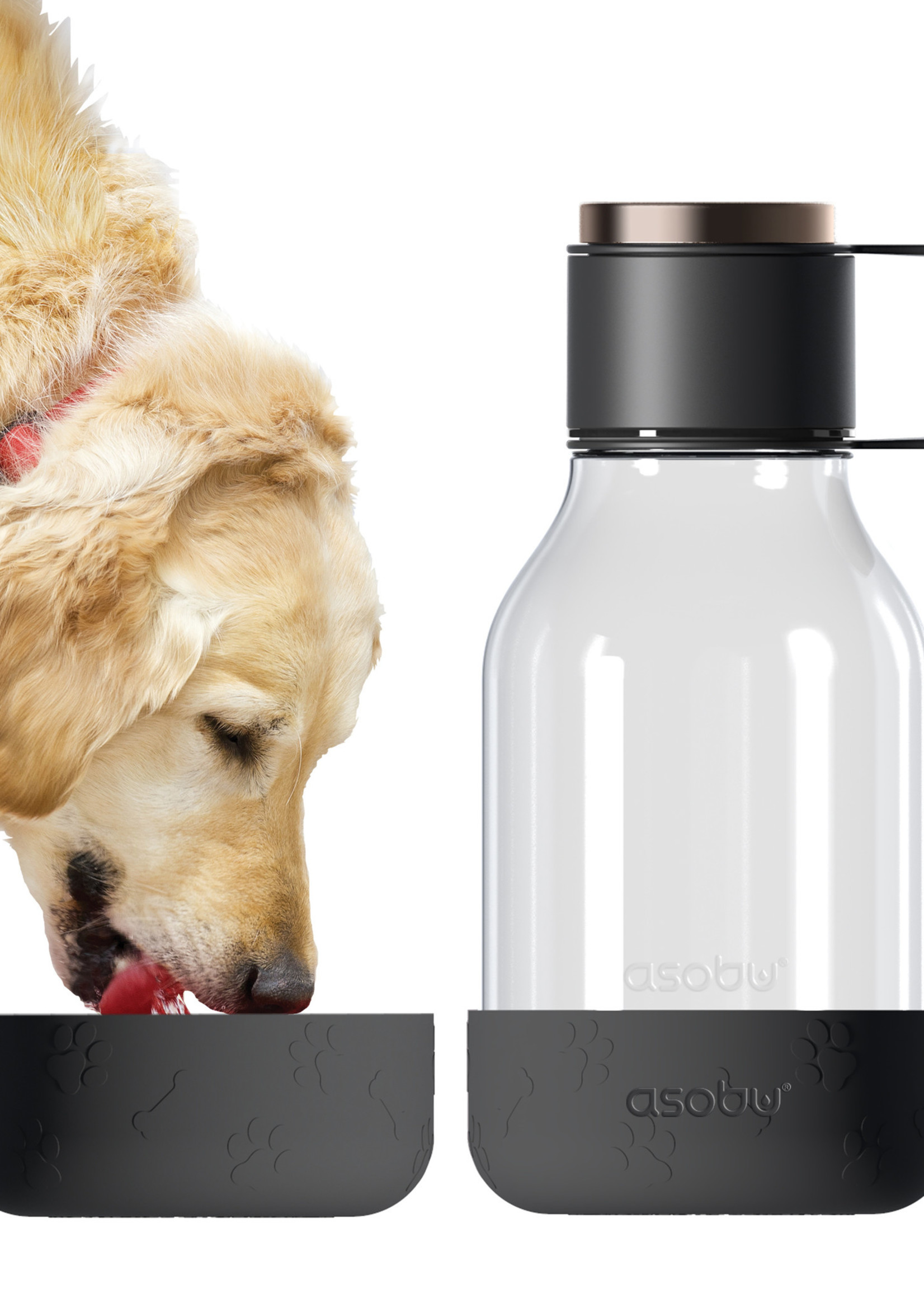 Asobu Dog Bowl Bottle Tritan