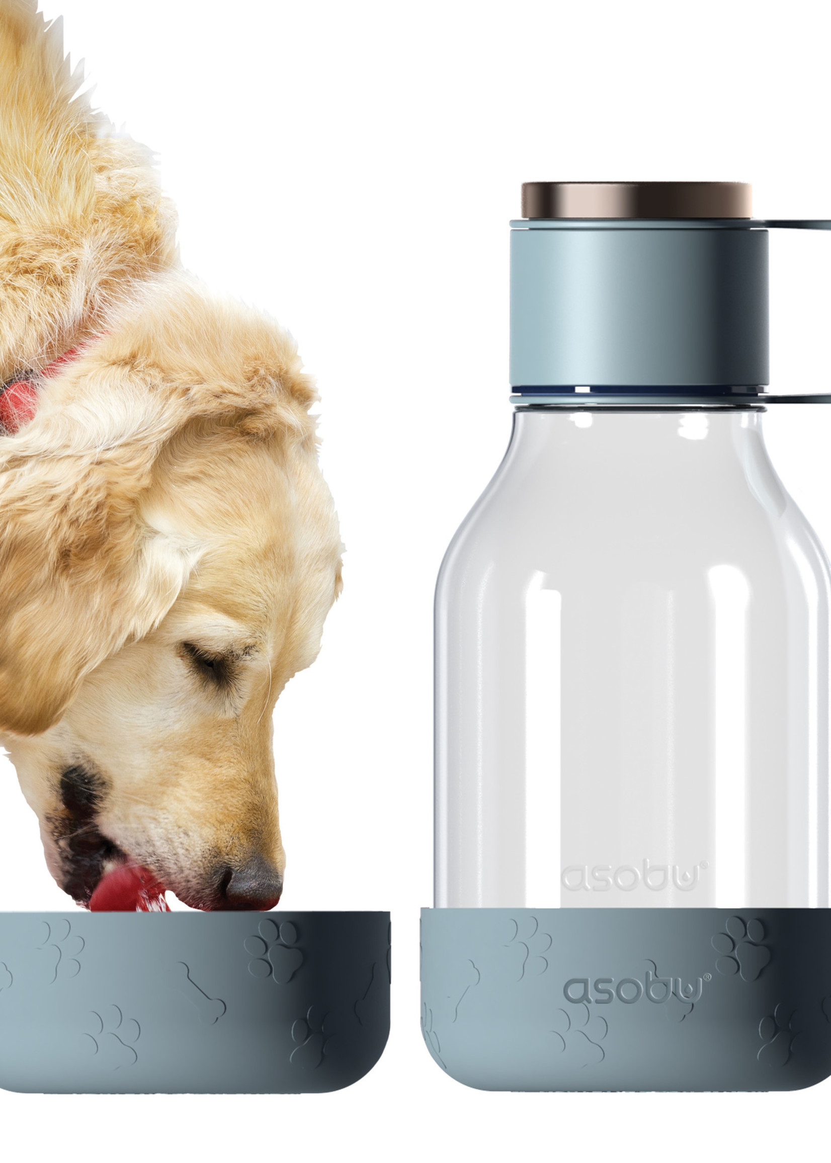 Asobu Dog Bowl Bottle Tritan