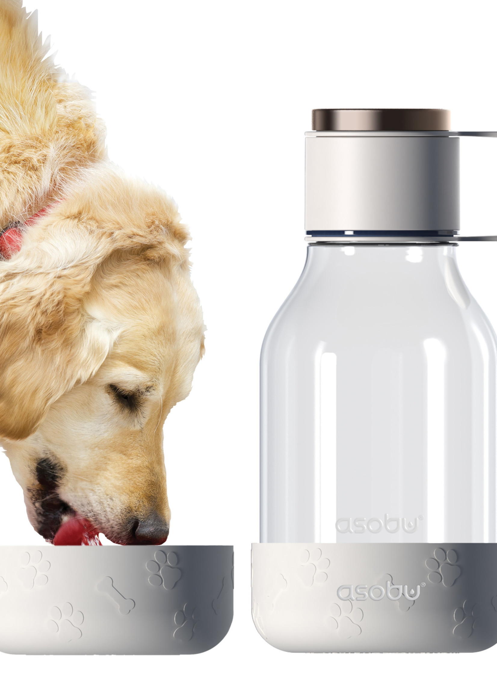 Asobu Dog Bowl Bottle Tritan