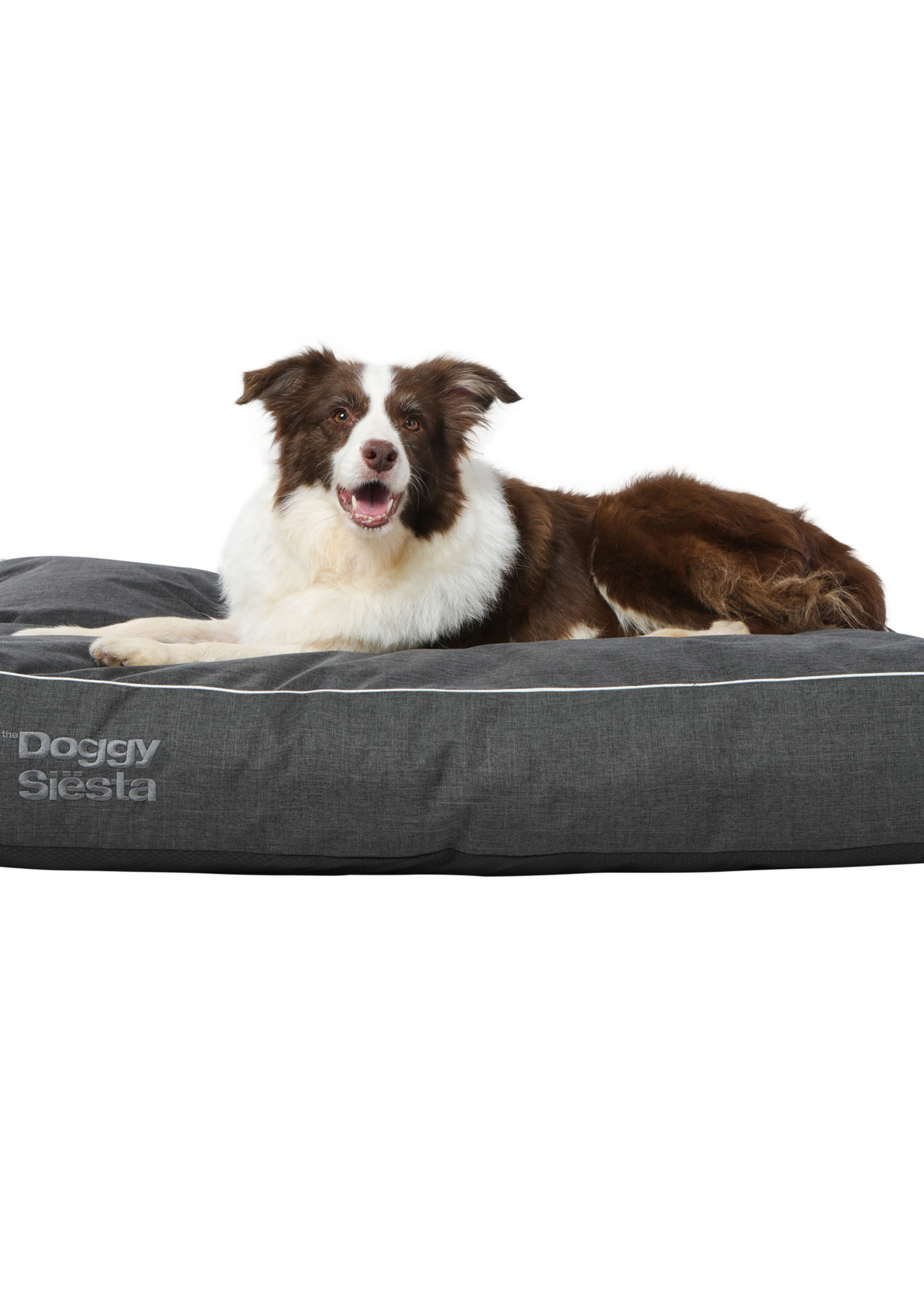 Pet Joy The DoggySiësta Strong Black