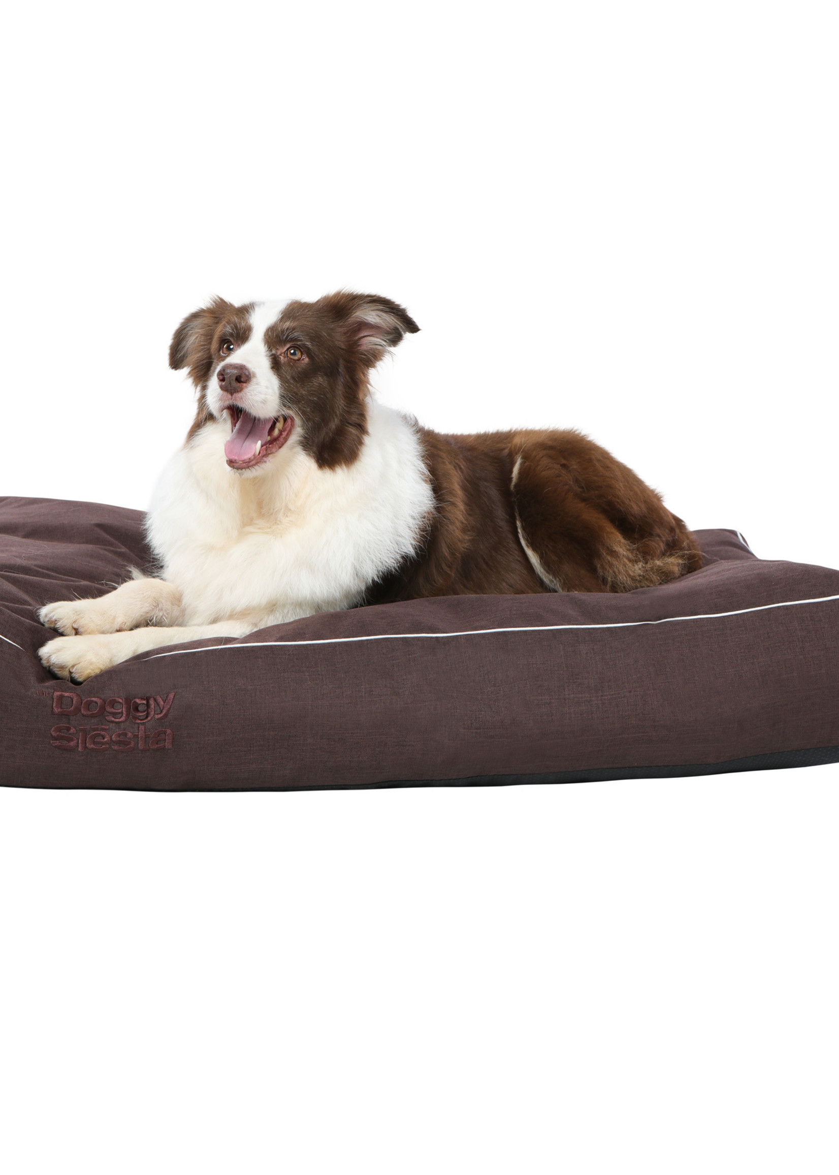 Pet Joy The DoggySiësta Strong Brown