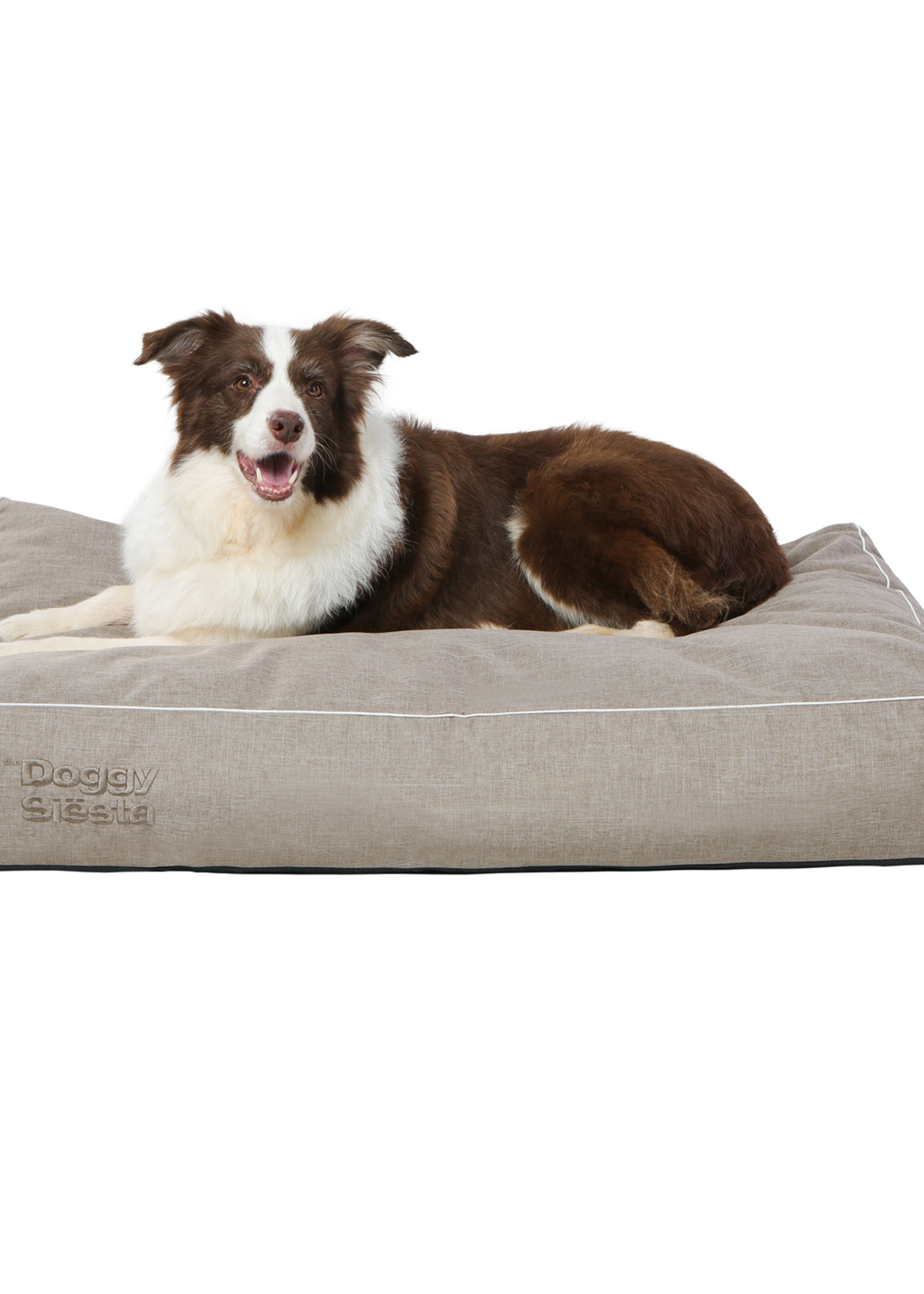 Pet Joy The DoggySiësta Strong Fossil