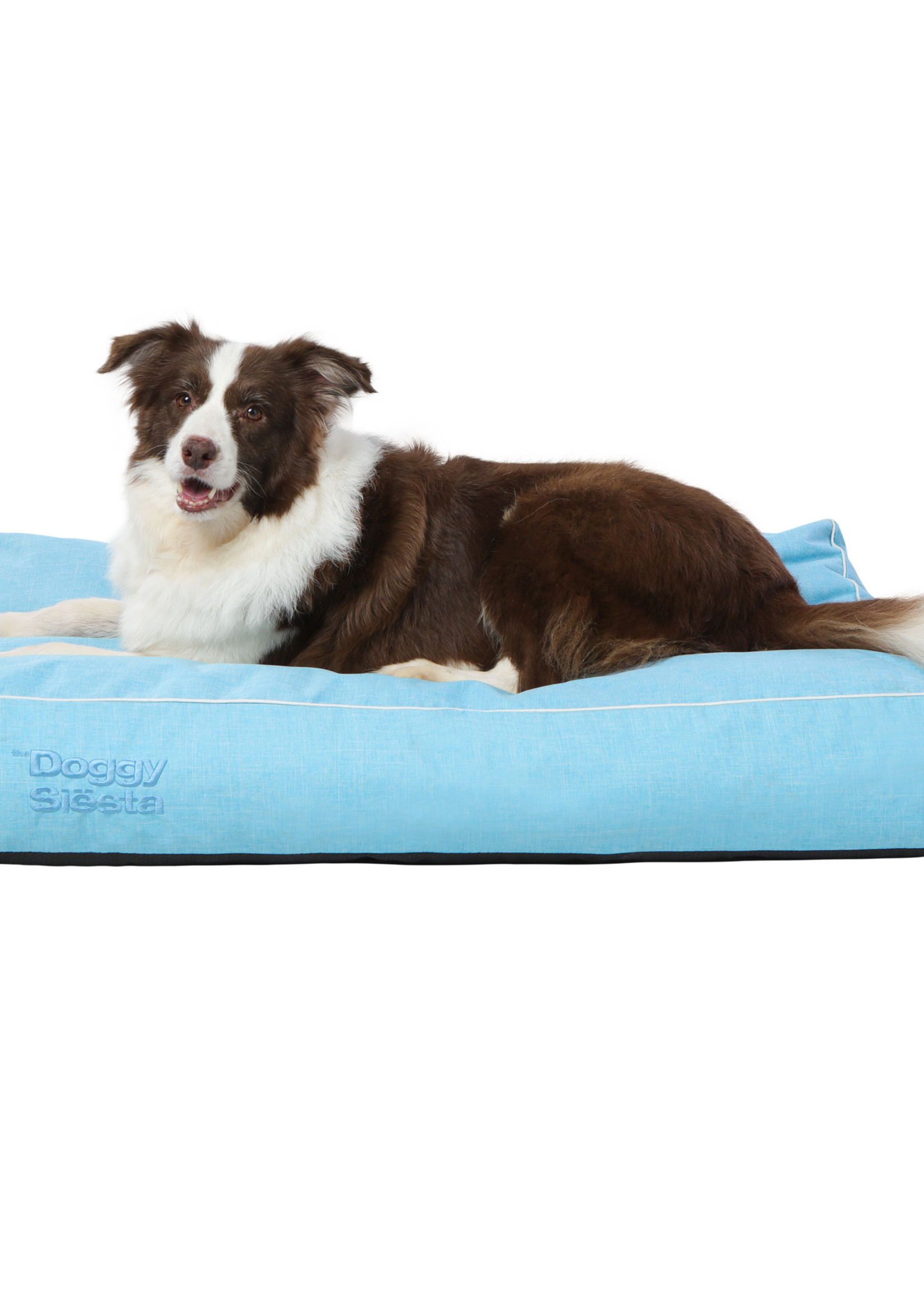 Pet Joy The DoggySiësta Strong Blue