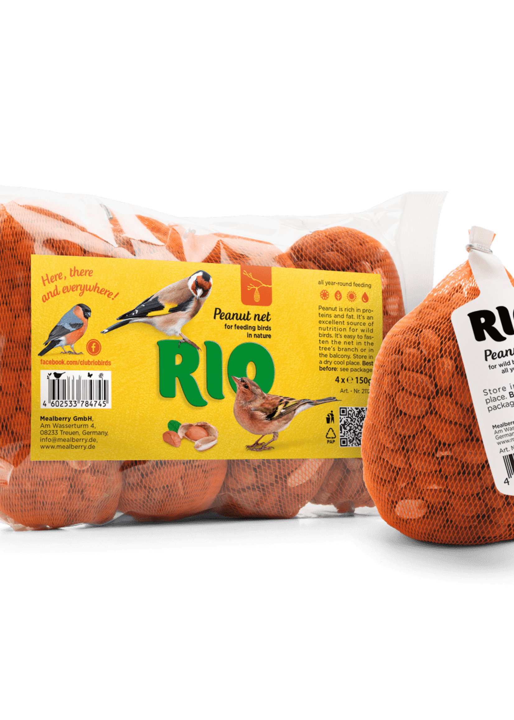 RIO Pindanetje