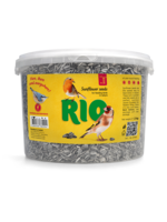 RIO Zonnebloem zaden, 2 kg
