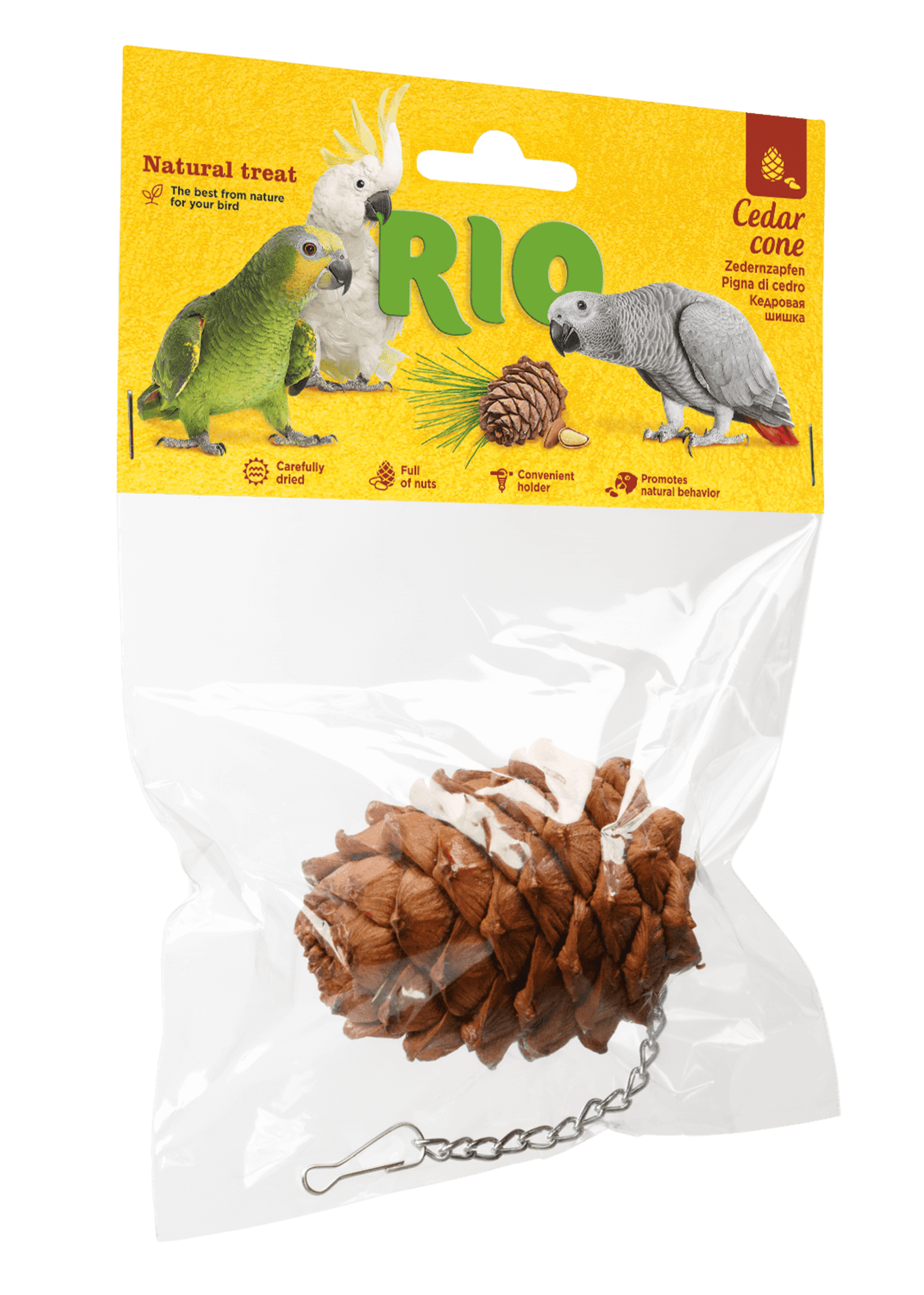 RIO Cedar Cone, 1 stuk