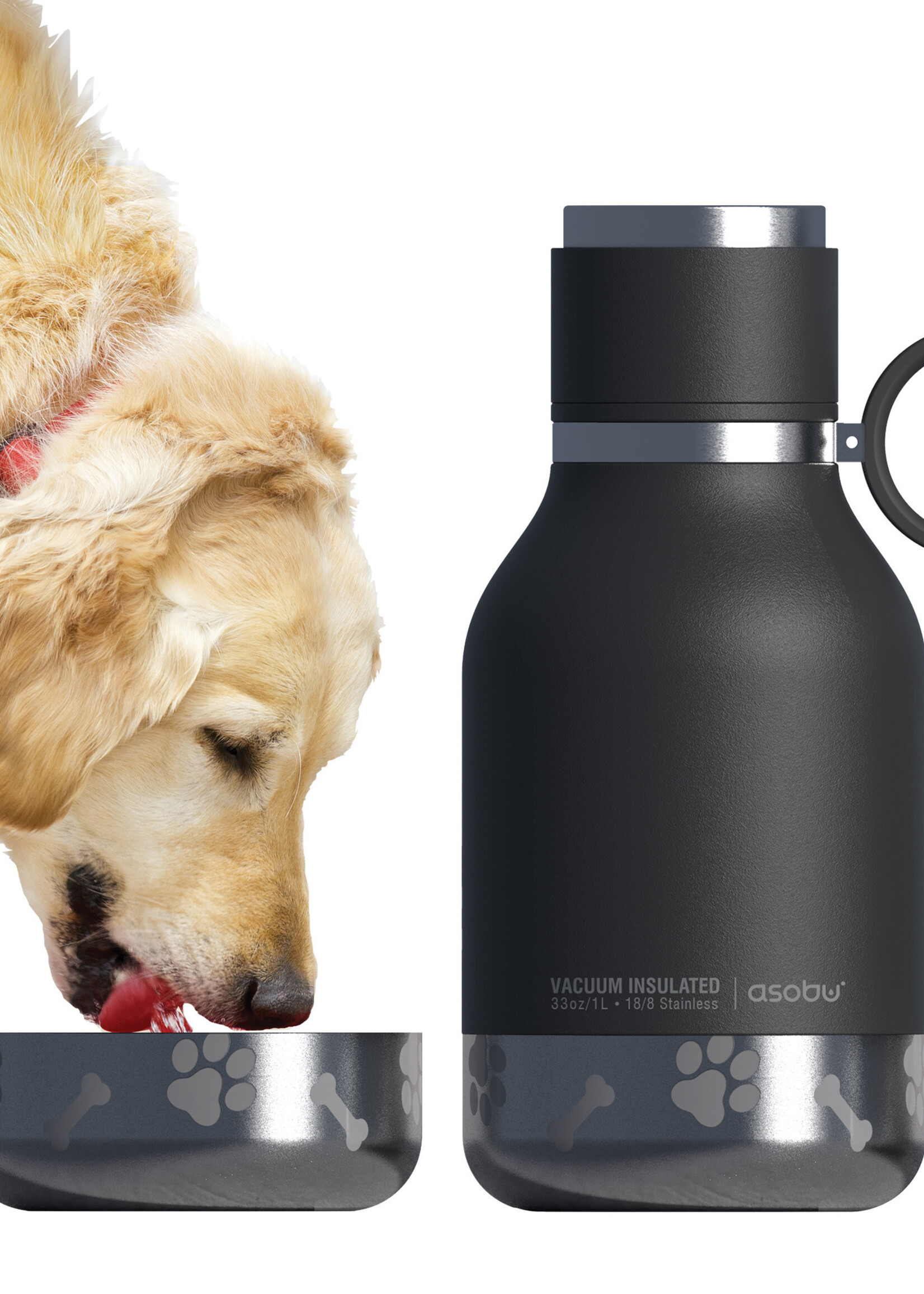 Asobu Dog Bowl Bottle Stainless